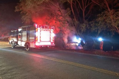 Carro pega fogo após batida em árvore e motorista morre carbonizado em rodovia goiana