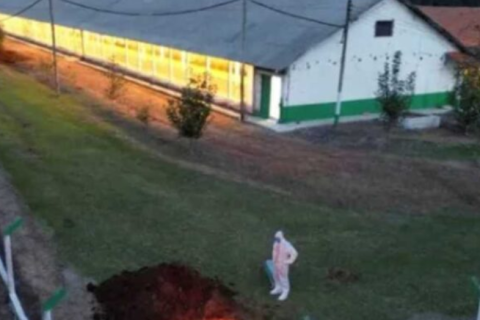 China bane toda carne de frango e derivados do Brasil após casos de gripe aviária