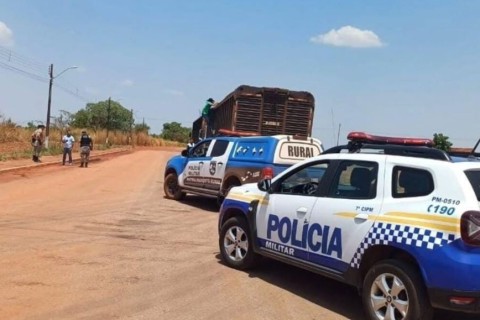 Quadrilha de roubo de gado desmantelada em Goiás e Tocantins – mais de 100 bois recuperados