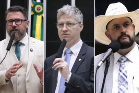 Deputados patriotas são alvo de punições após protesto no plenário