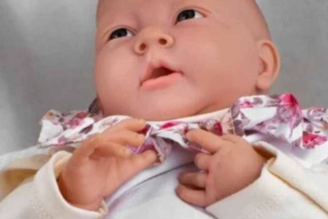 Mulher tenta vacinar bebê reborn em posto de saúde