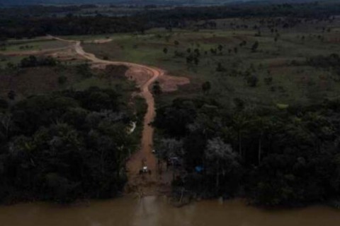 TCU suspende contrato entre governo e ONG ligada ao PT para limpar terra yanomami