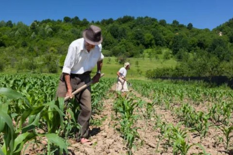 INSS: Fraude em Minas Gerais desviava aposentadorias de agricultores humildes